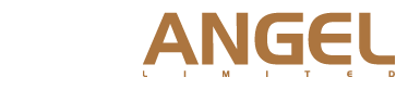 X Angel Limited logo